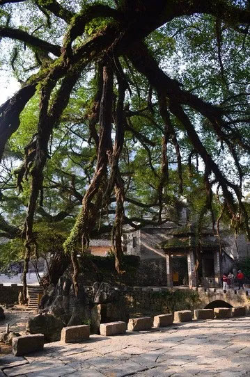 博皓游記 | 夏風(fēng)微醺的綺夢，領(lǐng)略賀州黃姚古鎮(zhèn)、姑婆山閑憩之美-12