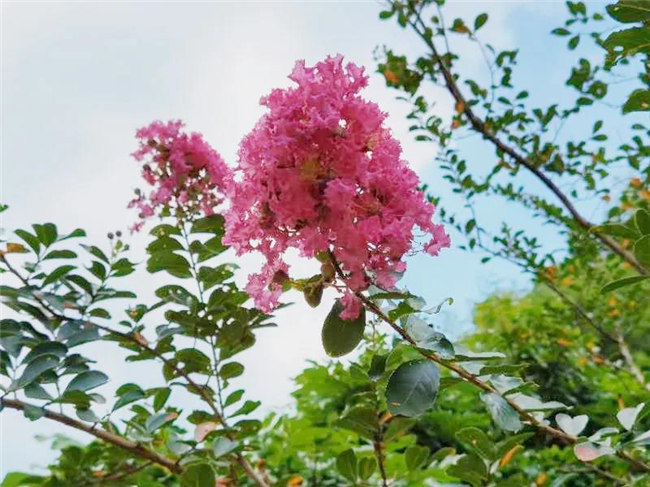 呼吸鮮氧，踐行公益——廣東博皓公益活動(dòng)：星溪線公益環(huán)保活動(dòng)   -5