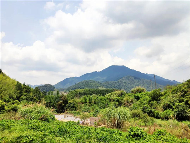 呼吸鮮氧，踐行公益——廣東博皓公益活動(dòng)：星溪線公益環(huán)?；顒?dòng)   -6