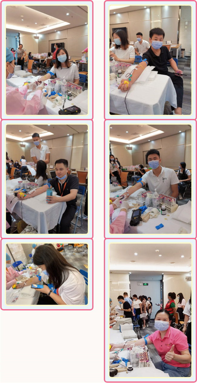 捐獻(xiàn)青春熱血，彩繪人生畫卷——廣東博皓總班委組織了一次“捐我熱血，呵護(hù)生命”的無償獻(xiàn)血公益活動    -3
