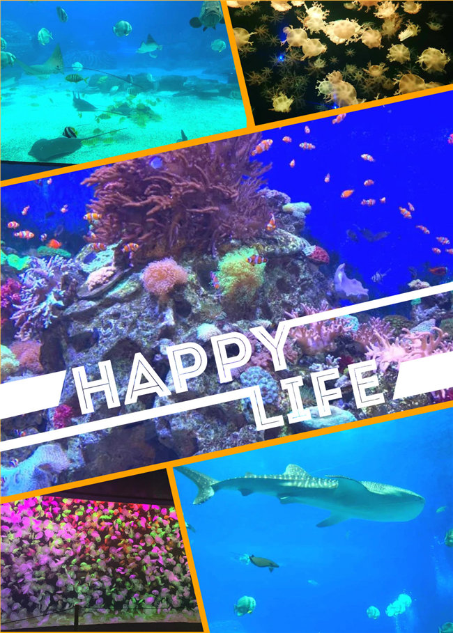 廣東博皓親子游：珠海長隆海洋王國，探索海洋生物的奧秘，奇妙的動物世界