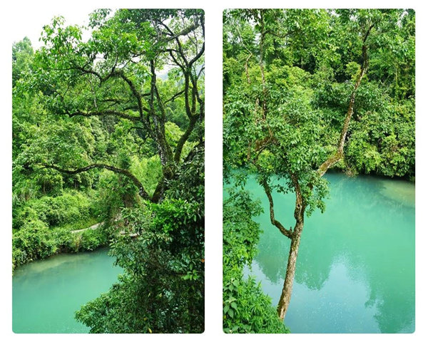 多彩貴州，魅力天下，2021年廣東博皓快樂貴州行-29