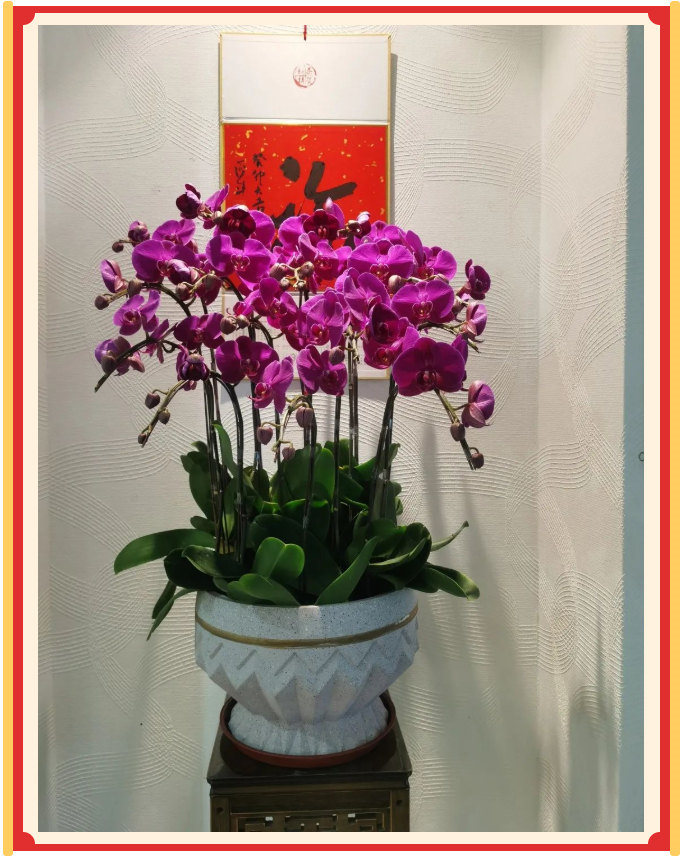 廣東博皓開(kāi)工大吉丨金虎騰躍，兔來(lái)運(yùn)轉(zhuǎn)           -23