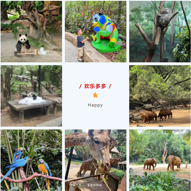 大手牽小手，快樂親子游！廣東博皓2023年親子游活動(dòng)        -8