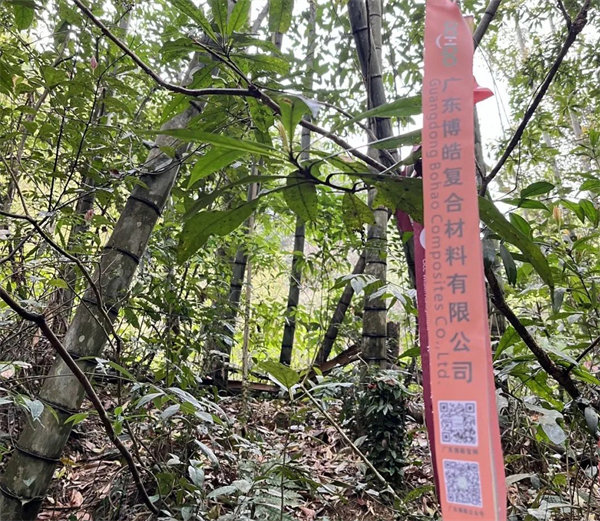 凝心聚力再出發(fā)，風(fēng)雨同舟赴星溪！--廣東博皓2024龍年首登星溪之旅     -2