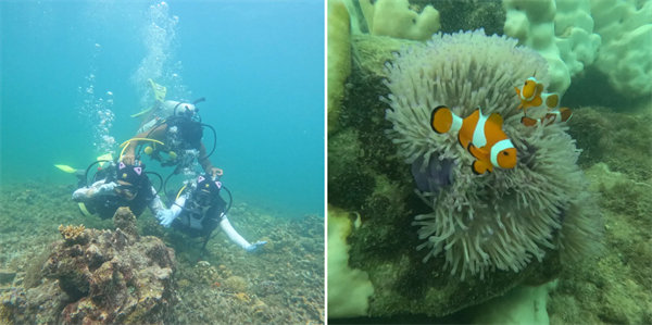 暢游碧海藍天，共筑團隊夢想—博皓沙巴風情之旅        -4