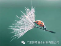 【博皓感悟】成功，要“借力”，不要“盡力”