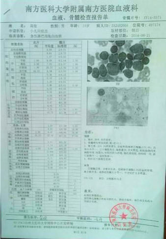 高俊的血液、骨髓檢查報告單