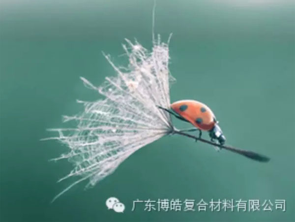 【博皓感悟】成功，要“借力”，不要“盡力”